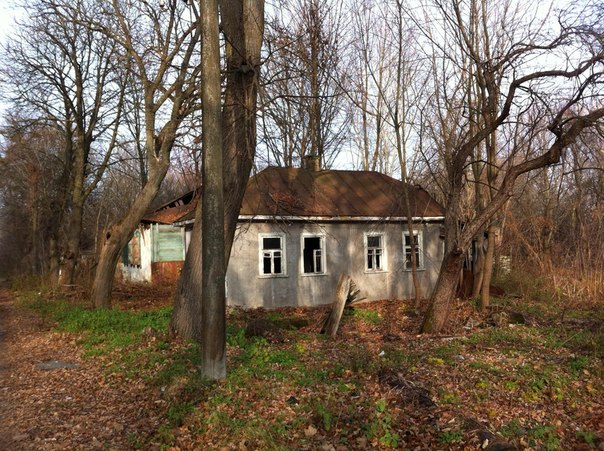 Покосившиеся и разрушенные дома Чернобыля